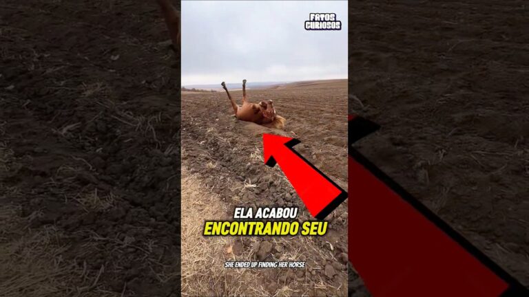 A NOBRE ATITUDE DESSA MULHER EMOCIONOU A TODOS! Ela salvou seu lindo cavalo 🐎🆘