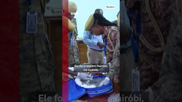 O chinês preso tentando contrabandear 2 mil formigas rainhas do Quênia