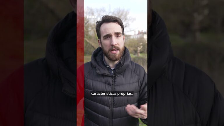 O fascinante mamífero raríssimo que só existe no Brasil