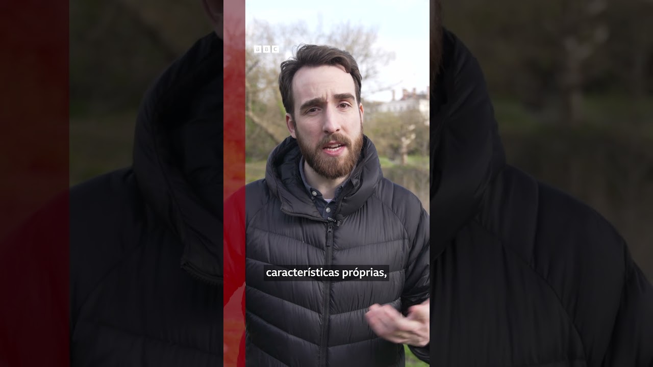 O fascinante mamífero raríssimo que só existe no Brasil