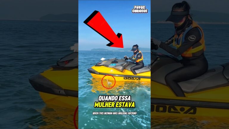 ESSA MULHER EMOCIONOU A TODOS AO SALVAR A VIDA DESSE PASSARO QUE ESTAVA A DERIVA NO MAR