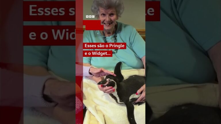 Pinguins alegram lares de idosos no Reino Unido