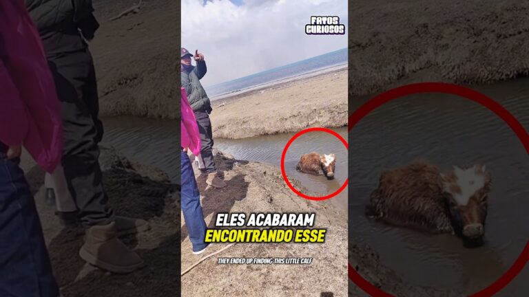 ATITUDE HERÓICA DESSE HOMEM FEZ TODOS RECUPERAREM A FÉ NA HUMANIDADE! A esperança venceu o medo 🌊✨