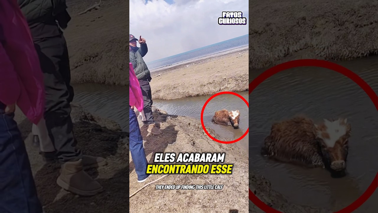 ATITUDE HERÓICA DESSE HOMEM FEZ TODOS RECUPERAREM A FÉ NA HUMANIDADE! A esperança venceu o medo 🌊✨