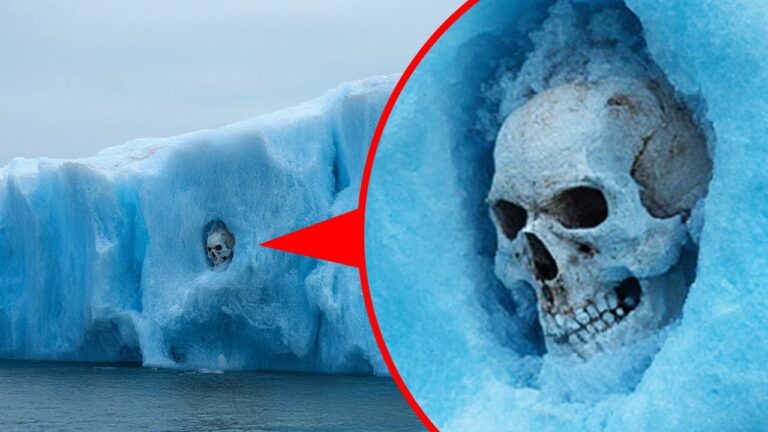 Descobertas na Antártica que deixam os especialistas com grandes dúvidas