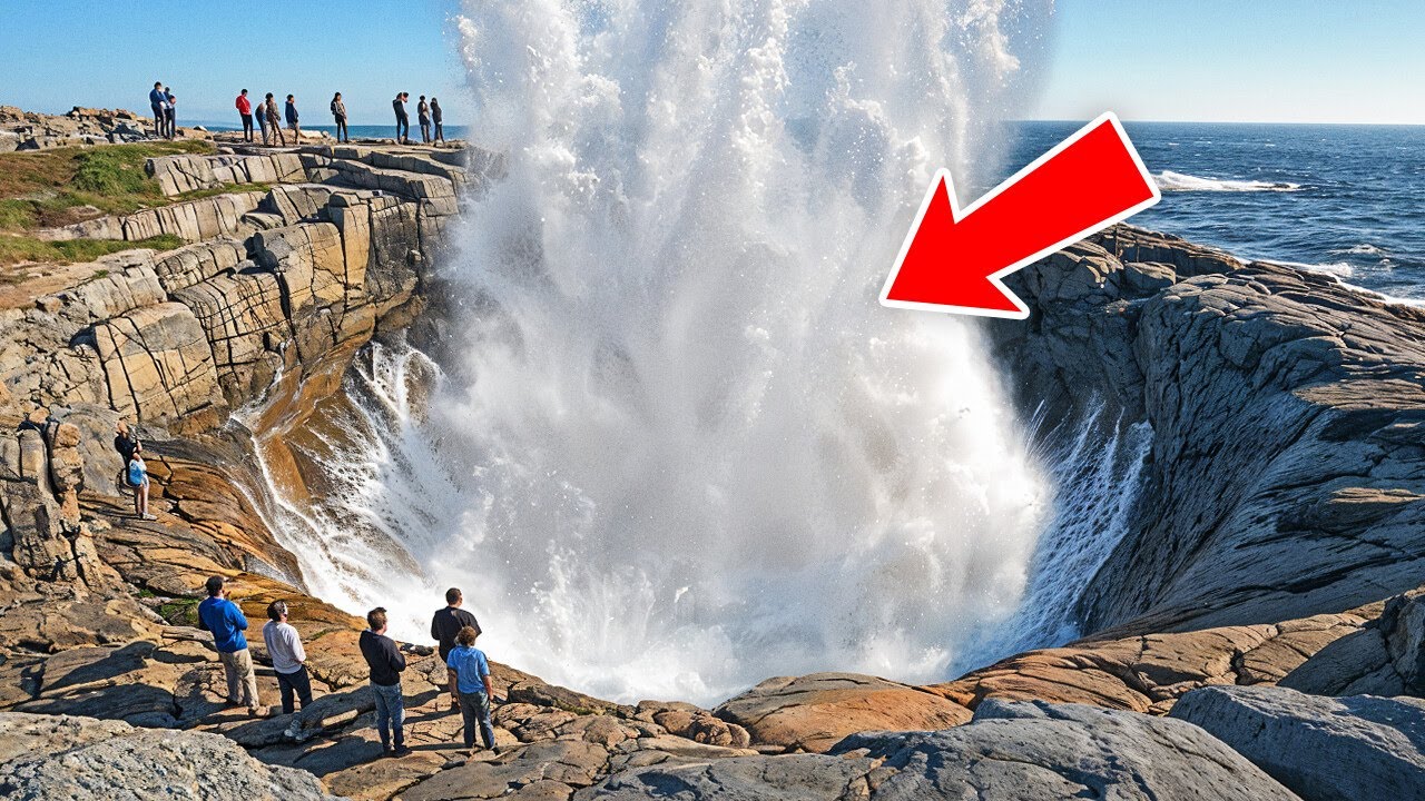 Se você vir isso, nem pense em se aproximar