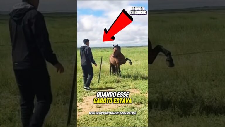 A REAÇÃO DESSE CAVALO APÓS SER SALVO VAI TE EMOCIONAR! Um gesto de amor que vai esquentar seu ❤️