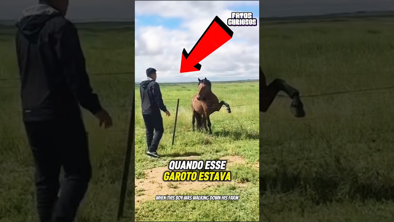 A REAÇÃO DESSE CAVALO APÓS SER SALVO VAI TE EMOCIONAR! Um gesto de amor que vai esquentar seu ❤️