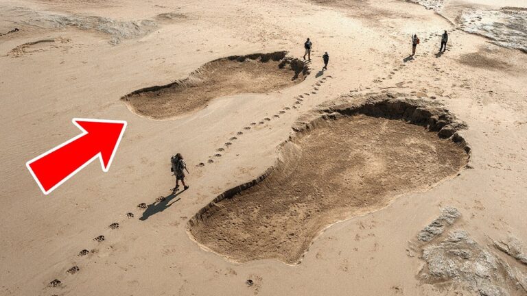 Como as mesmas pegadas de dinossauro foram parar em continentes diferentes
