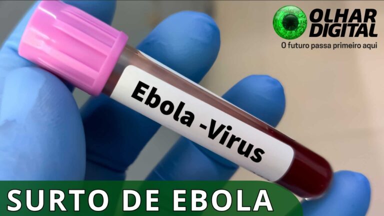 Ebola: OMS relata aumento no número de casos e mortes pela doença na África