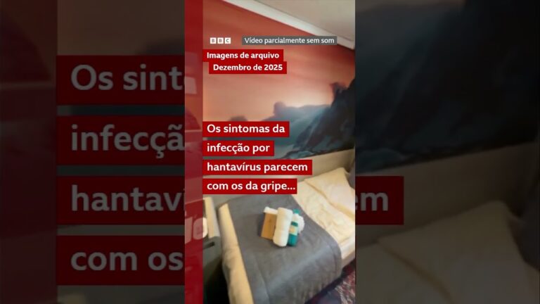 Cepa de hantavírus identificada em navio de cruzeiro é 'pouco comum' e tem transmissão entre humanos