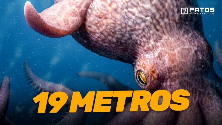Nanaimoteuthis: O monstro de 19 metros que a ciência não consegue explicar