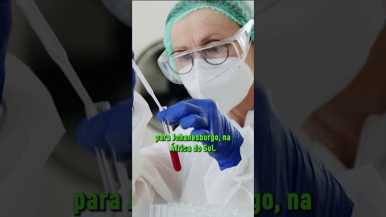 Hantavírus: veja o que a OMS diz sobre as infecções em navio de cruzeiro