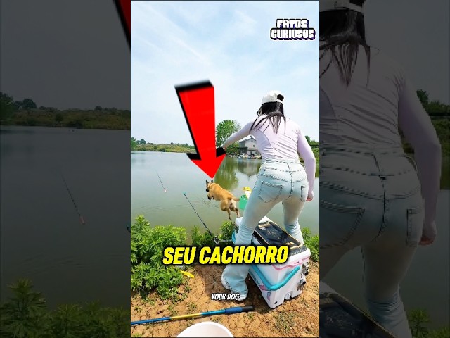CACHORRO HERÓI SALTA NO LAGO PARA SALVAR O ALMOÇO DA FAMÍLIA