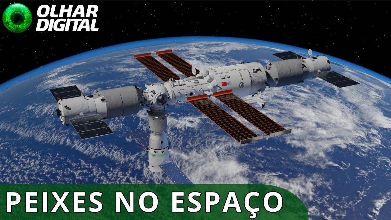 China envia embriões de peixe para o Espaço