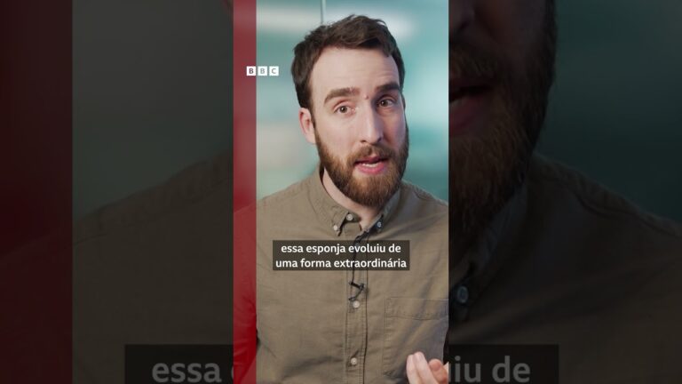 Cientistas descobrem MIL novas espécies marinhas 🌊