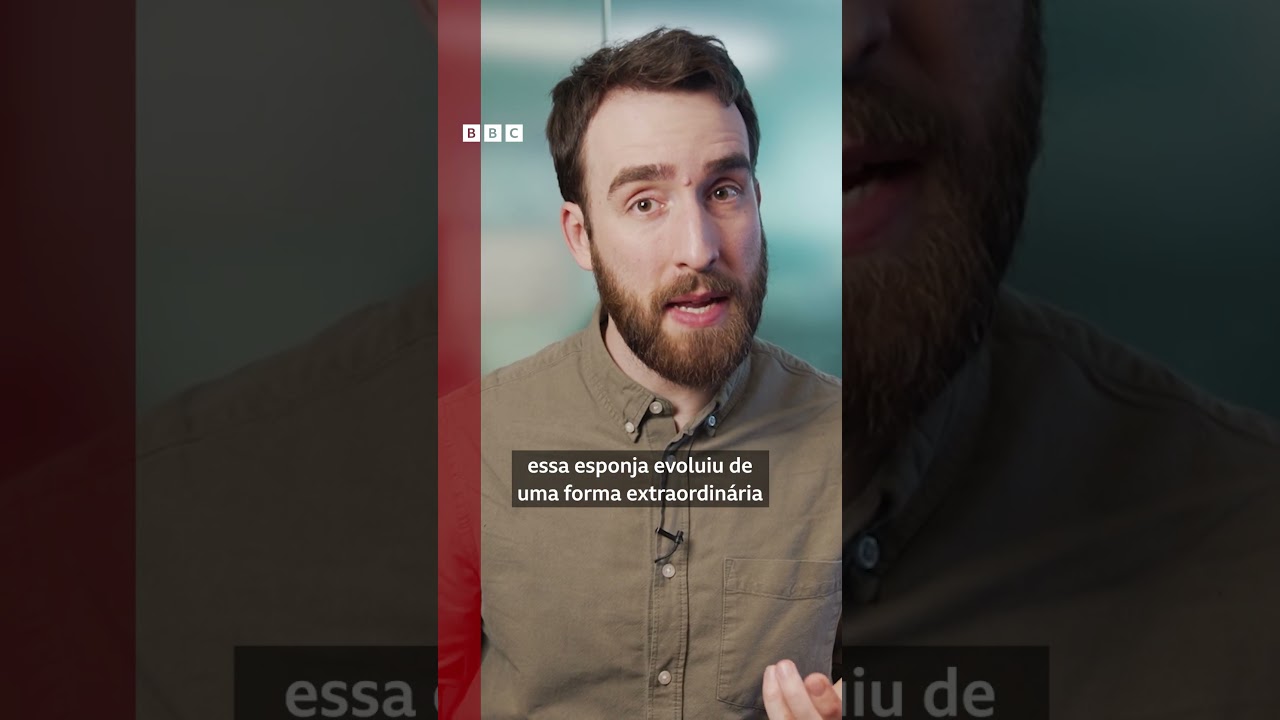 Cientistas descobrem MIL novas espécies marinhas 🌊