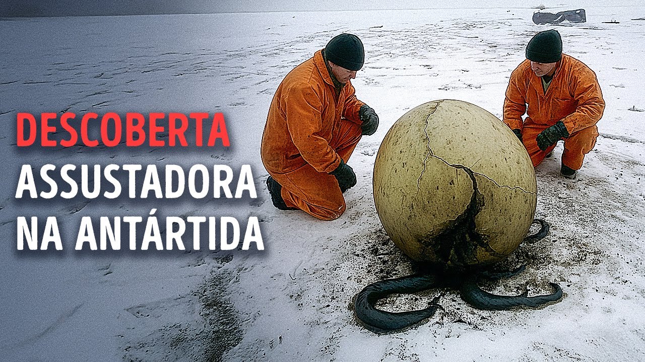 Cientistas encontram ovo de monstro marinho misterioso na Antártida
