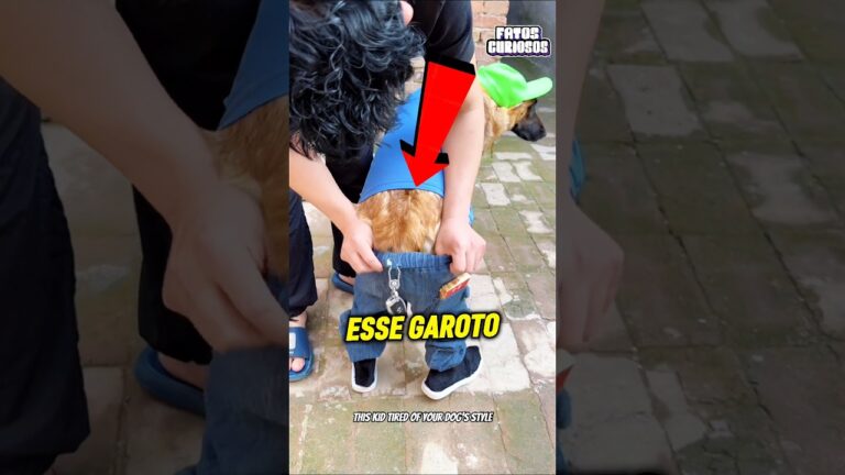 ELE MUDOU COMPLETAMENTE O ESTILO DO SEU CACHORRO