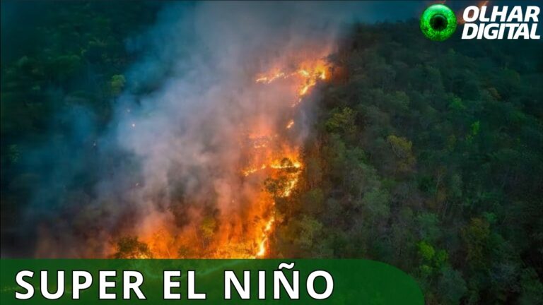 Formação de Super El Niño liga sinal de alerta para a Amazônia