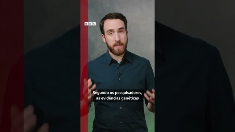 A primeira 'guerra-civil' de chimpanzés 🙉💥 🙉