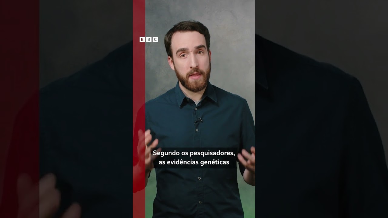 A primeira 'guerra-civil' de chimpanzés 🙉💥 🙉