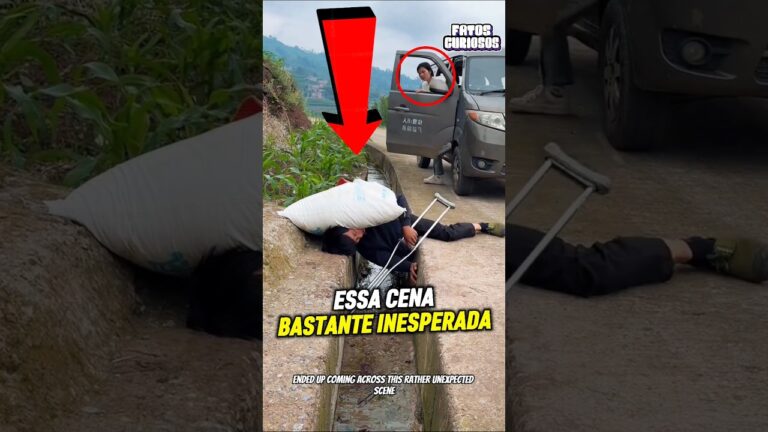 NINGUÉM QUERIA AJUDÁ-LO ATÉ ESSA GAROTA DE NOBRE CORAÇÃO APARECER