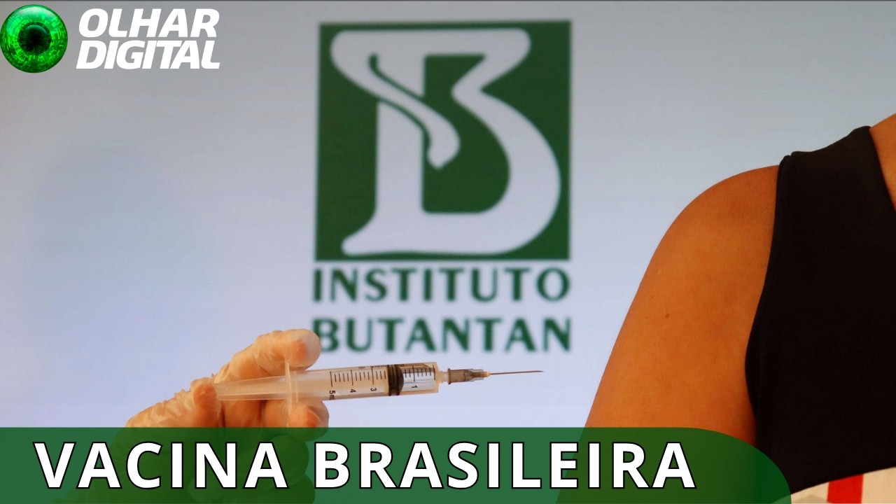 Anvisa autoriza Butantan a produzir vacina contra chikungunya no Brasil