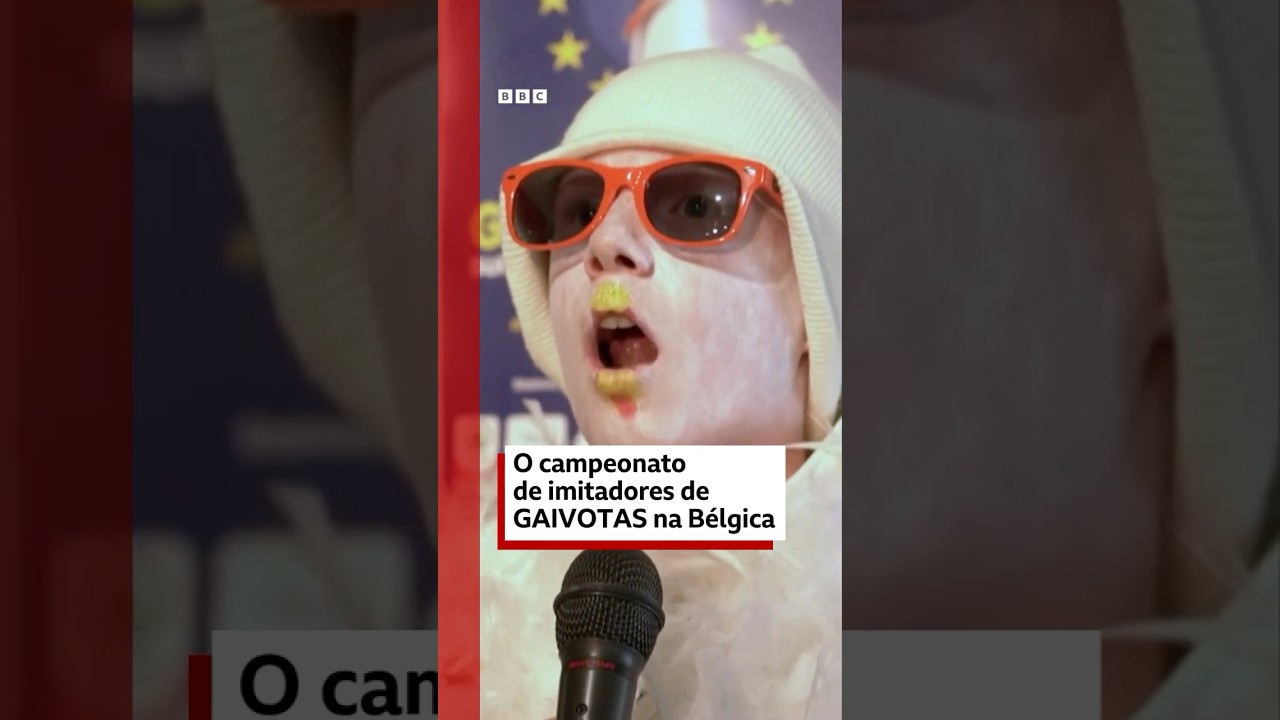 O campeonato de imitadores de gaivotas na Bélgica