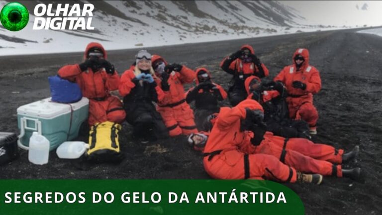 Espécie descoberta por brasileiras na Antártida pode dar pistas sobre vida alienígena