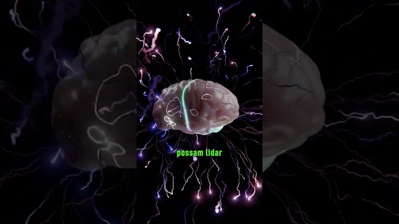 Startup constrói data center com neurônios humanos
