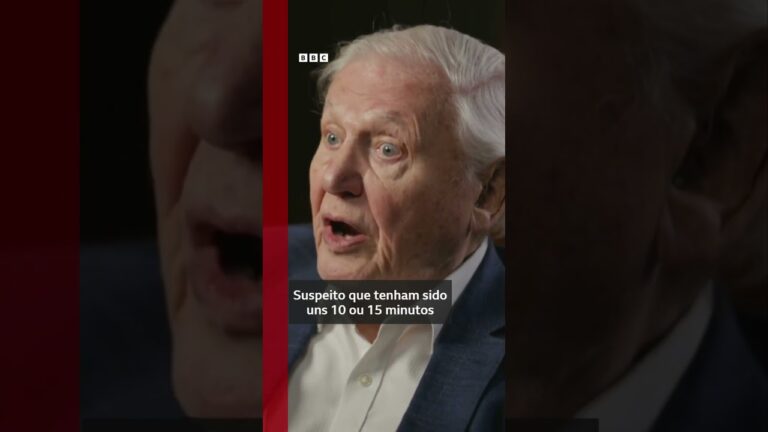 David Attenborough faz 100 anos e relembra encontro 'extraordinário' com gorilas