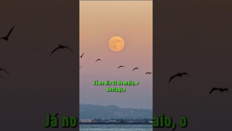 Lua azul e chuva de meteoros são destaques de maio no Calendário Astronômico