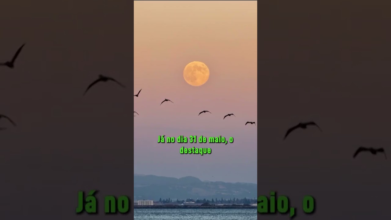 Lua azul e chuva de meteoros são destaques de maio no Calendário Astronômico