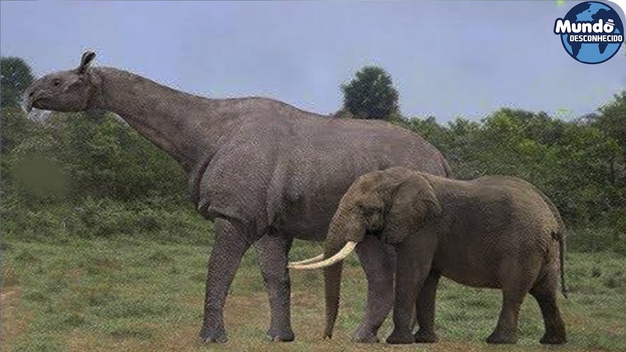 Animais que você vai agradecer por estarem extintos
