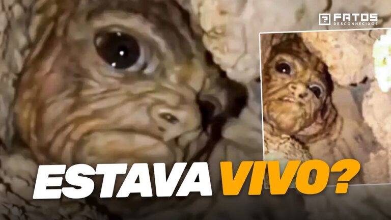 Descobertas inesperadas feitas durante escavações subterrâneas