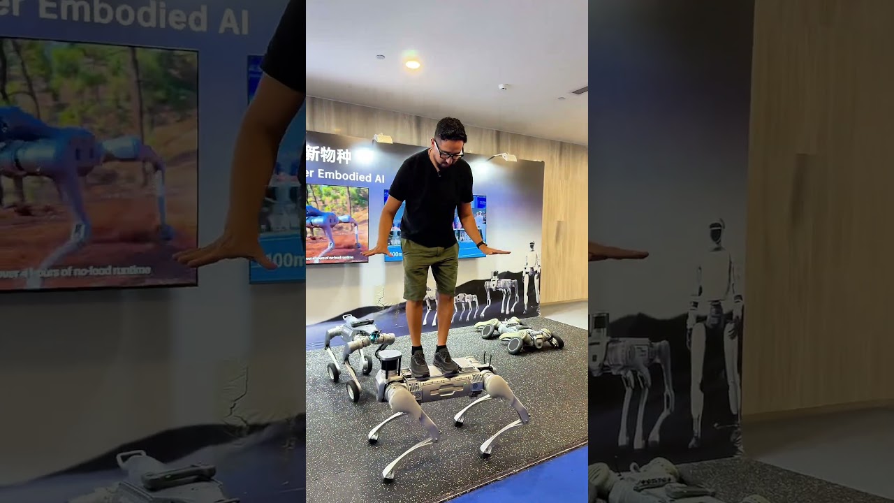 Essa é a Skinet da vida real