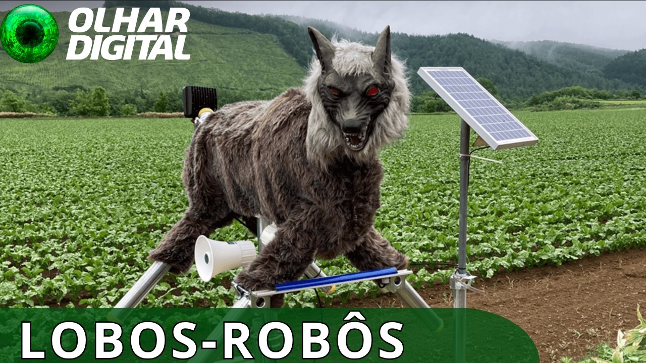 “Lobos-robôs”: vendas disparam após ataques de ursos no Japão