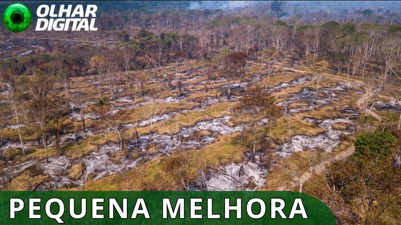 Desmatamento no Brasil fica abaixo de 1 milhão de hectares pela 1ª vez desde 2019