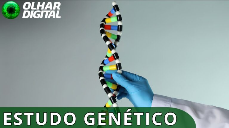 Projeto nacional quer testar DNA de até 5 mil casais para prever doenças genéticas