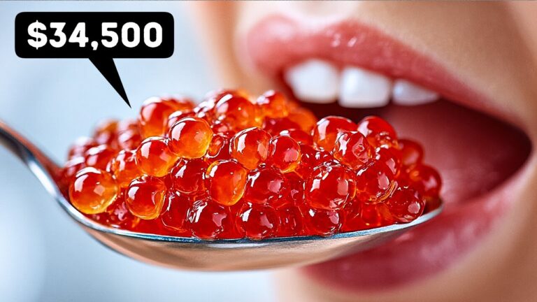 Os Registros de Comida Mais Inusitados Que Têm Sabor de Loucura