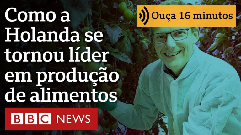 Como Holanda se tornou terceiro maior exportador de alimentos do mundo apesar do território pequeno
