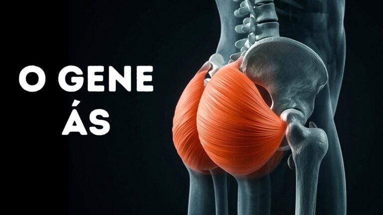 Seu corpo tem um código que você desconhecia