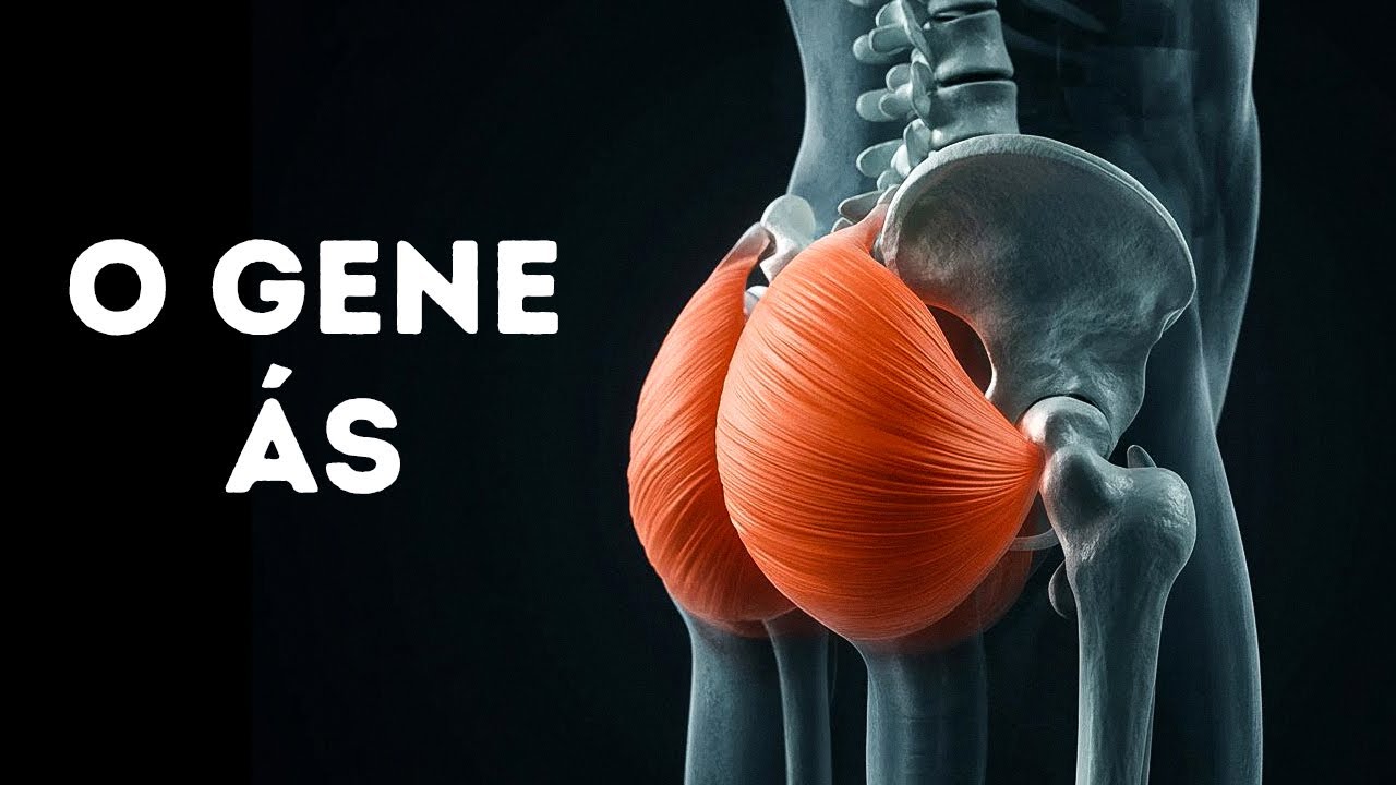 Seu corpo tem um código que você desconhecia