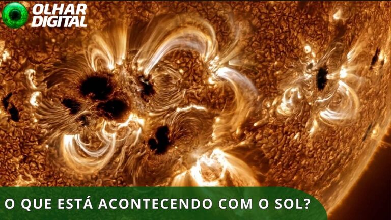 “Sons” do Sol revelam comportamento inesperado