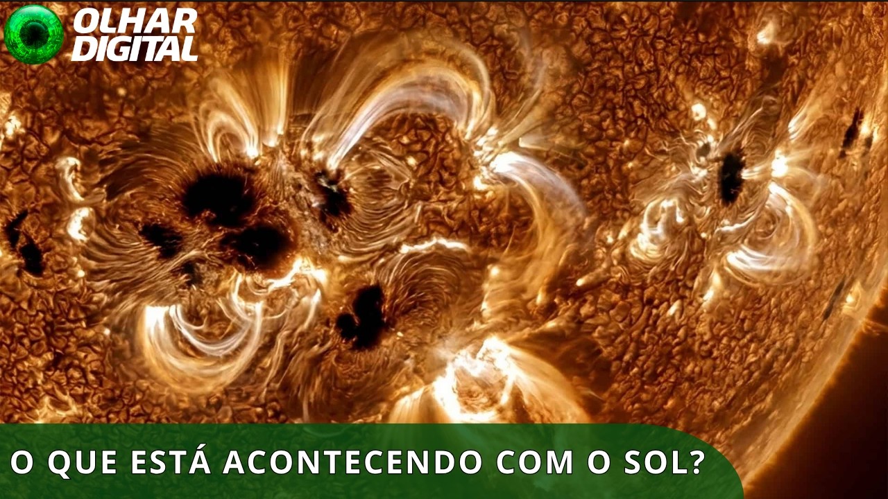 “Sons” do Sol revelam comportamento inesperado