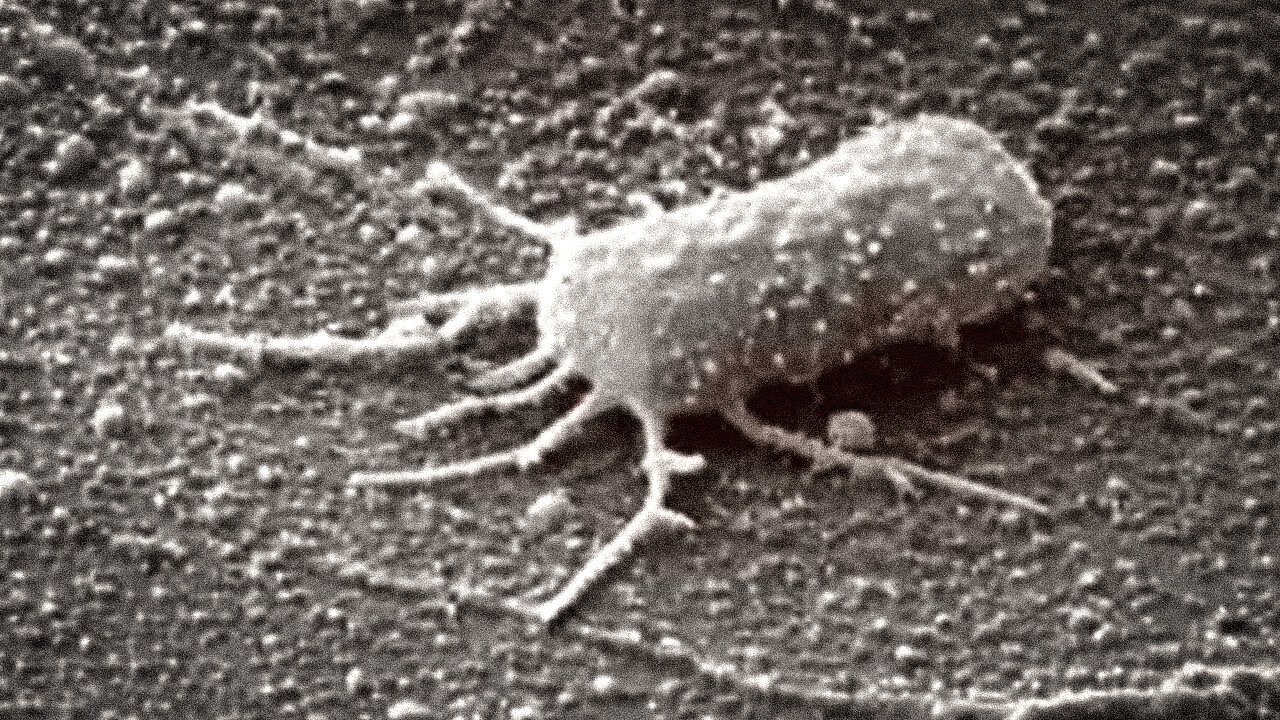 Talvez tenhamos finalmente encontrado vida em Marte