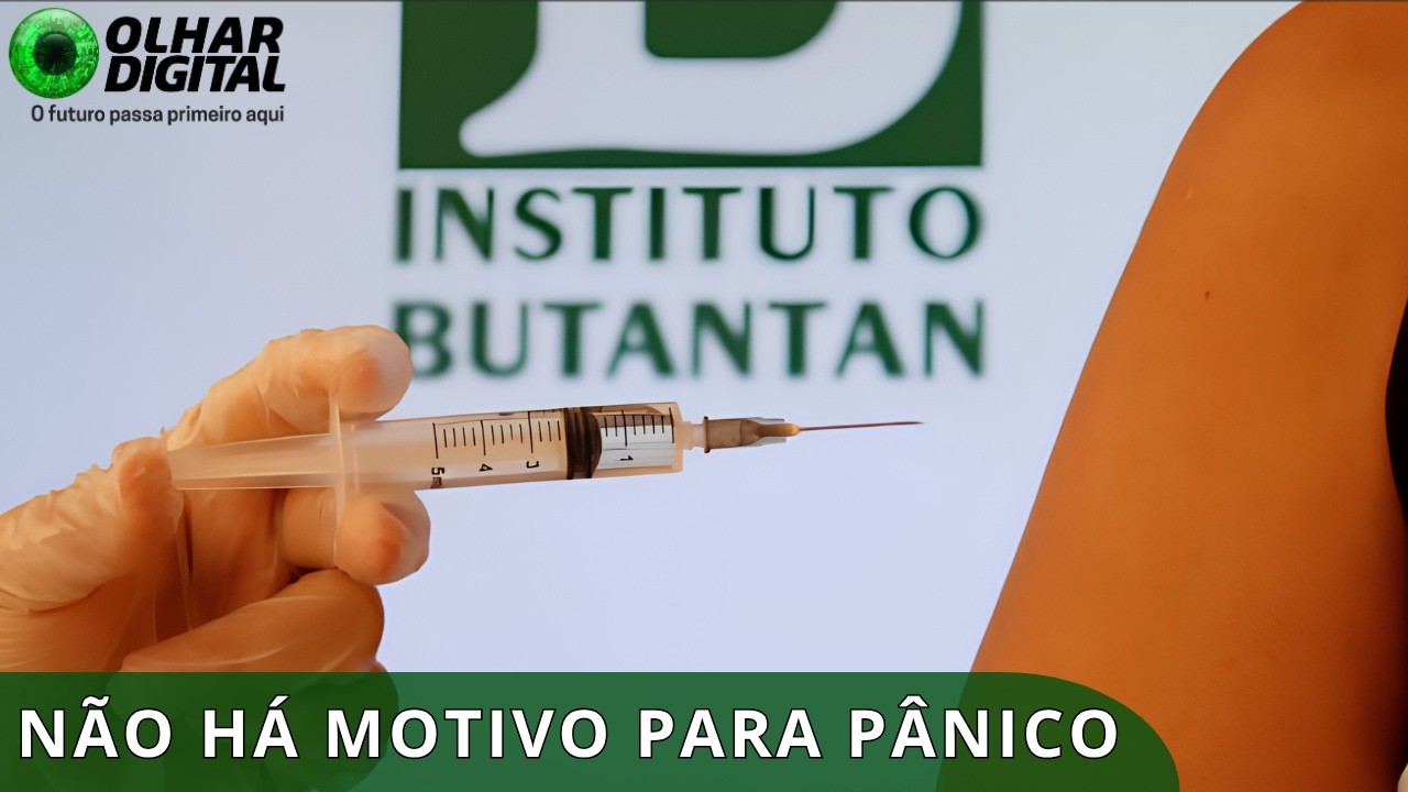 Vacina da dengue do Butantan é suspensa; e agora?