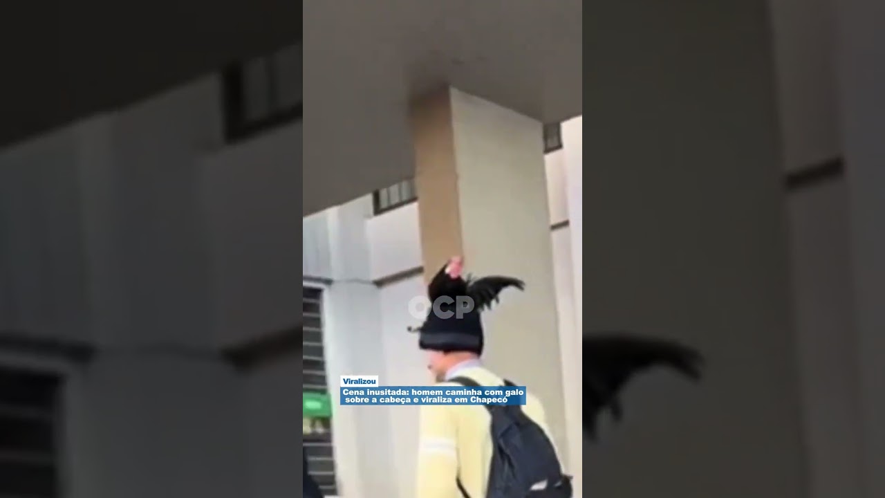 Cena inusitada: homem caminha com galo sobre a cabeça e viraliza em Chapecó