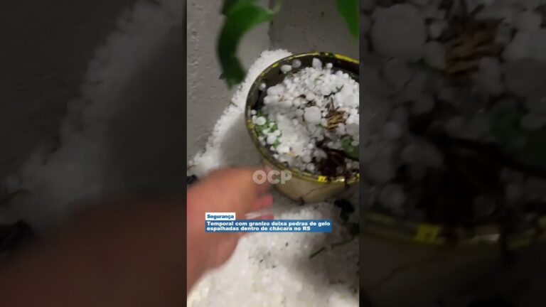 Temporal com granizo deixa pedras de gelo espalhadas dentro de chácara no RS